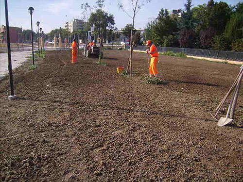 Costruzione e manutenzione del verde